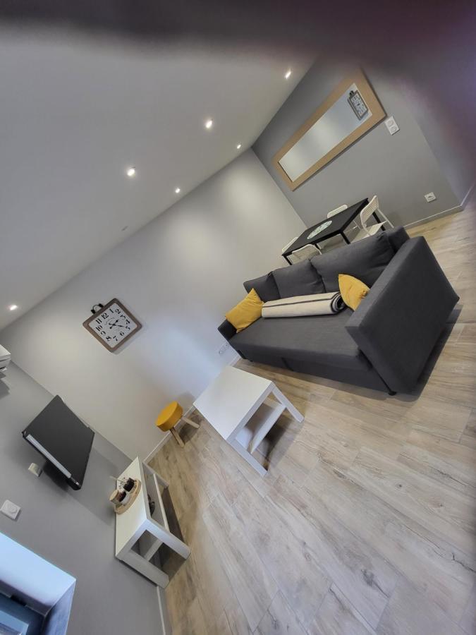 Appartement Entierement Renove A Neuf 101 Σαιντ-Ετιέν Εξωτερικό φωτογραφία