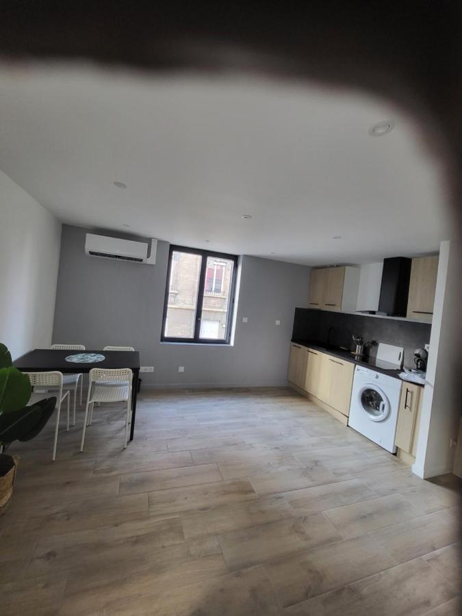 Appartement Entierement Renove A Neuf 101 Σαιντ-Ετιέν Εξωτερικό φωτογραφία