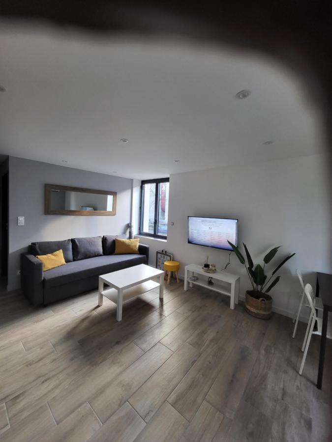 Appartement Entierement Renove A Neuf 101 Σαιντ-Ετιέν Εξωτερικό φωτογραφία