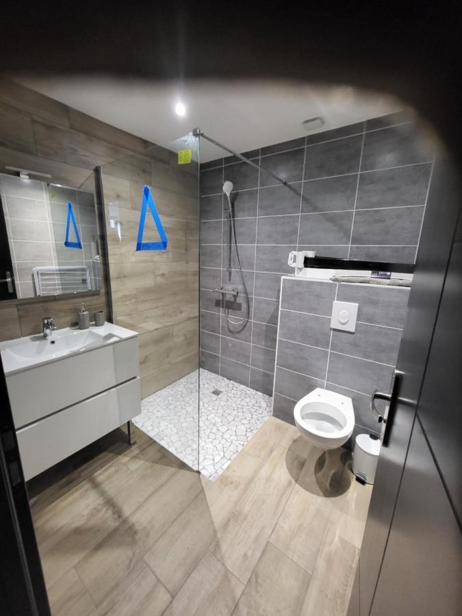 Appartement Entierement Renove A Neuf 101 Σαιντ-Ετιέν Εξωτερικό φωτογραφία